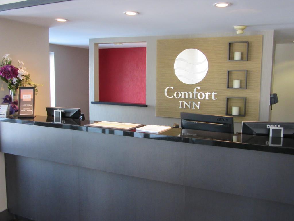 Comfort Inn Cobourg Kültér fotó